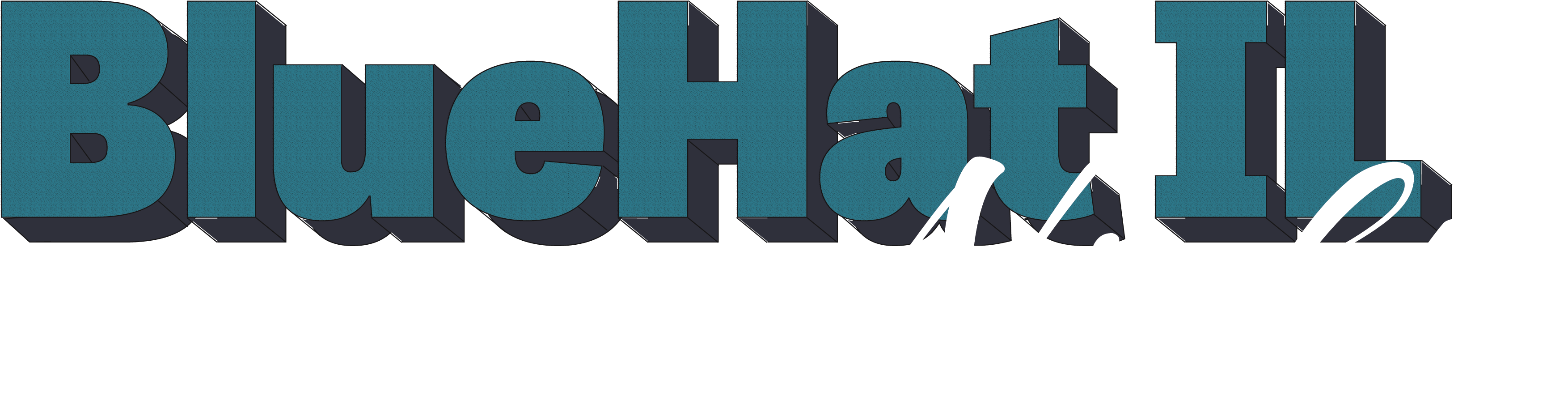 2023 Blue Hat IL logo